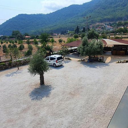 Olive Tree Apart Hotel Мугла Екстериор снимка