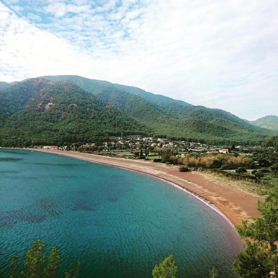 Olive Tree Apart Hotel Мугла Екстериор снимка