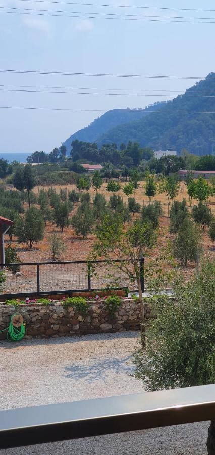Olive Tree Apart Hotel Мугла Екстериор снимка